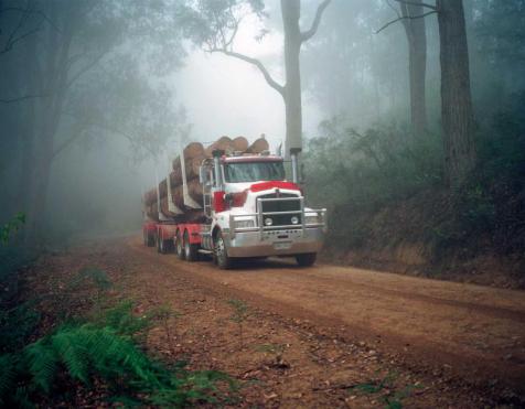 Untitled, Vicotoria, 2005, 80x99 cm, archival pigment print